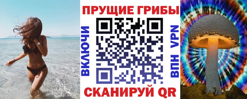 дарнет шоп  Могоча  Галлюциногенные грибы мицелий 